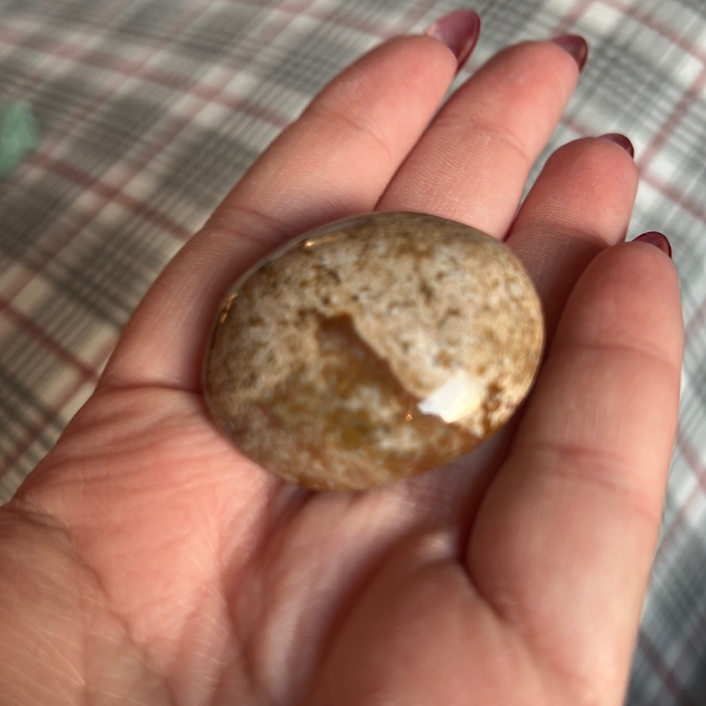 Mini Ocean Jasper Palm Stone